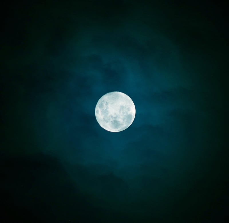 Moonlit Nights